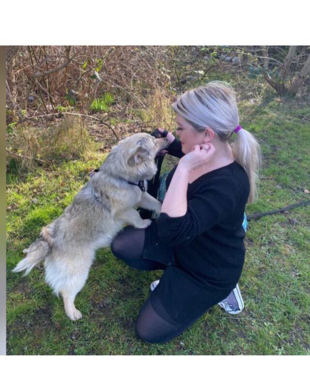 Dog Trainer - About Holly 10 – Eccles personal dog trainer