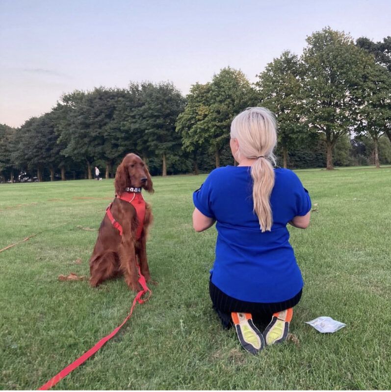 – Dog trainer in Manchester City Centre