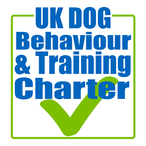Dog Trainer - About Holly 4 Separation Anxiety Certified by IMDT – Swinton certified dog trainer