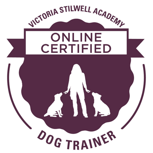 Dog Trainer - About Holly 3 Victoria Stilwell Academy – Monton dog trainer for reactive dogs