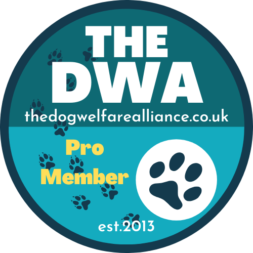 Dog Trainer - About Holly 6 Dog Welfare Alliance member – Whitefield home dog training