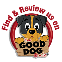Dog Trainer - About Holly 7 Findandreview – Eccles personal dog trainer